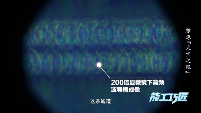 張志忠5 張志忠5